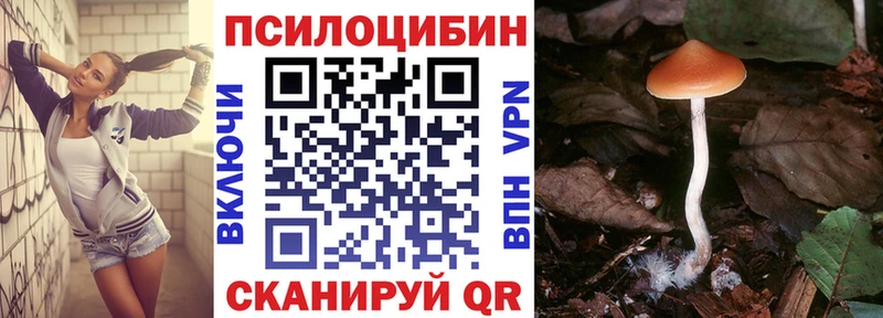 нарко площадка формула Северская Псилоцибиновые грибы Psilocybe